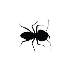 A black silhouette of an ant is displayed against a white background, showcasing its distinct body segments and antennae.