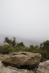 Natural Stone Moss Podium. Hig Stone background covered in moss, shaped as a podium. Ideal for product display, eco concepts, natural cosmetics, and design.h quality photo