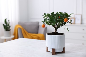 Potted tangerine tree on white wooden table indoors, space for text