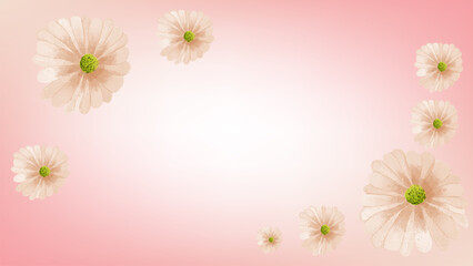 floral background with flowers
