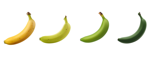 Banana Progression: A close-up study unveils a vivid transition of bananas in varying states of ripeness, showcasing nature's subtle transformations.