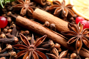 Different spices (anise, cinnamon, cloves) and cranberries for mulled wine, closeup