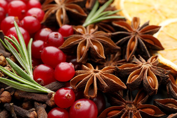 Different spices, fresh rosemary, cranberries and dry orange slices for mulled wine, closeup