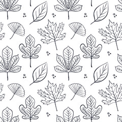 Seamless pattern of hand drawn autumn leaves. Maple, chestnut, ginkgo. Perfect as a background, fabric print, or coloring page design. Vector