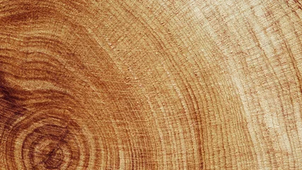 Fototapete Rund Brennholz Natural wooden background, close up wood annual rings form. Top view of cross section of juniper tree, graphic nature organic pattern. Sawed timber with tree ring print, natural textures banner  © yrabota