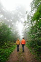 Naklejka premium Man and woman walking on a path in the woods in foggy weather, vertical format