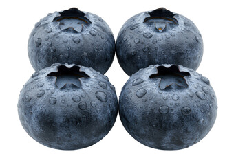 Four plump, dark blue blueberries with glistening water droplets, on a transparent seamless background with copy space, concept of natural freshness and healthy eating