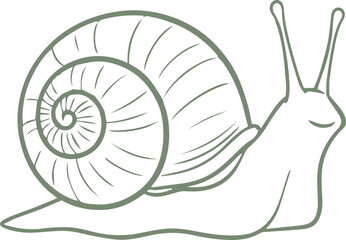 Snail Spiral Shell Doodle Outline