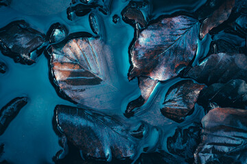 Makroaufnahme mehrerer Herbstblätter, die in klarem, dunkelblauem Wasser mit leichten Wellen und Reflexionen liegen.