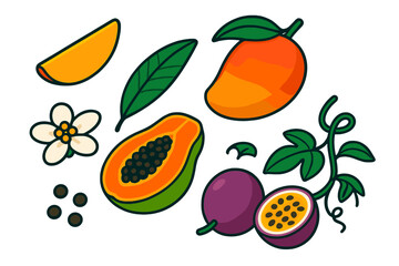 Tropical Fruit Icons. Isometric vector illustration set Tropical fruits &ndash; mango slice, whole mango, mango leaf; papaya half,