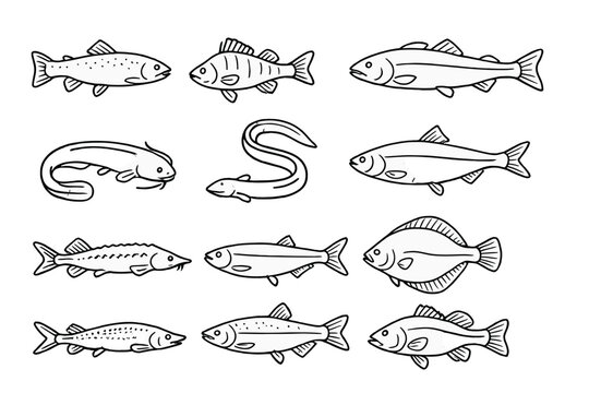 Aquatic Species Icons. Line style icons of aquatic species: trout, perch, carp, salmon; catfish, eel, herring, cod; sturgeon, pike