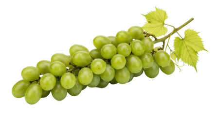 Fresh green grapes with leaves isolated PNG, healthy fruit snack on transparent background for food design and summer recipes
