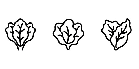 Fototapeta premium lettuce outline or line icon design bundle.