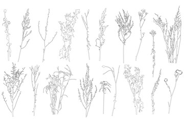 Naklejka premium Set of contours different plants and weeds. Vector illustration.