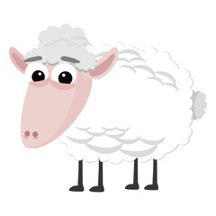 Sheep cartoon christian nativity