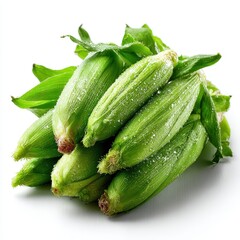 Fresh Corn on the Cob with Husks and Water Droplets on White Background