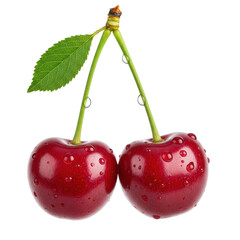 Two perfectly ripe deep red cherries with green stems and a leaf with reflective water droplets, against a transparent background with copy space, concept of fresh natural produce