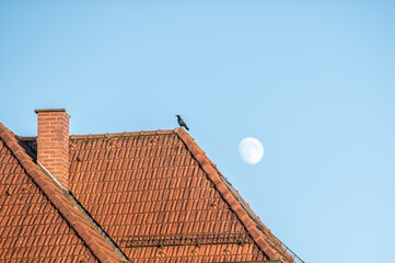 Rabe sitzt am Dachfirst eines historischen Walmdachs mit Dachziegeln und Kamin aus Backsteinen vor fast vollem Mond und blauem Himmel in Neckartenzlingen