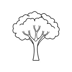 Simple outline drawing of a deciduous tree shape on transparent background silhouette