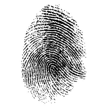 Fototapeta Realistic human fingerprint
