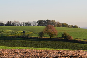 Feldlandschaft, Herbst