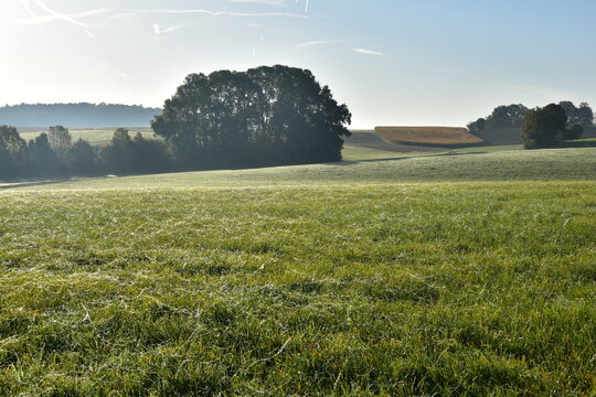 Feldlandschaft,  Herbst