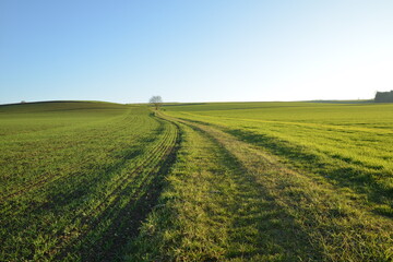 Feldlandschaft,  Herbst, Winter