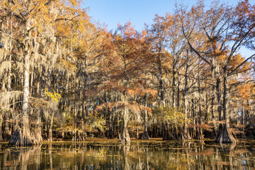 Benton Lake Early Morning Caddo