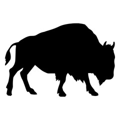 Bison buffalo animal bull silhouette