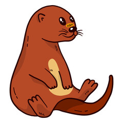 Cute otter river otter muzzle tail sitting flat