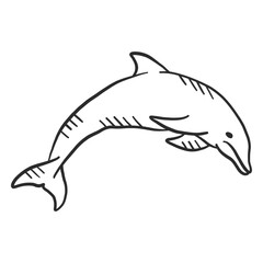 Dolphin flipper swimming tail doodle animal © Vexels
