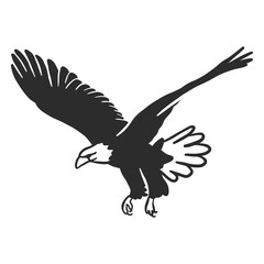 Eagle flying wing beak talon doodle bird