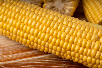 Sweet corn ears closeup. Fresh maize cob macro texture, autumn sweetcorn, corncob close up