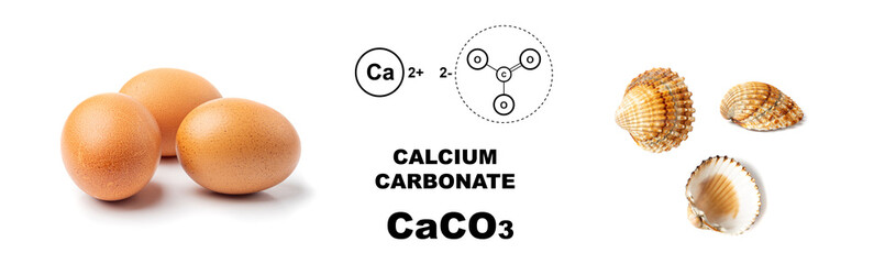 Eggs in shell as calcium carbonate, seashells, CaCO3 supplement