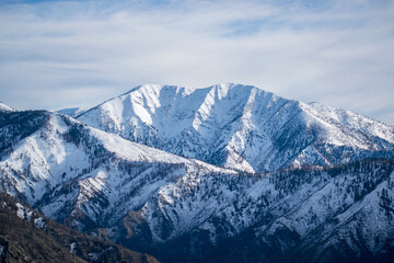 Angeles National Forest