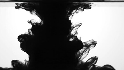 Black Ink Cloud in Water - Abstract Visuals and Fluid Dynamics.