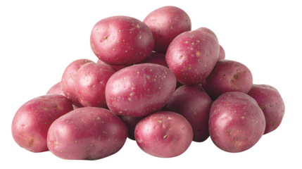 Pile of Fresh Red Potatoes on White Background root vegetable