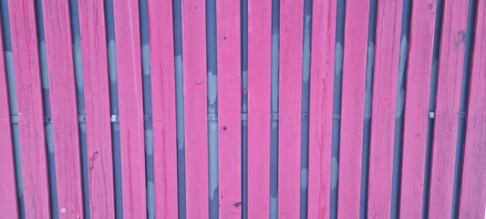 Bright pink wooden slats create vibrant backdrop for outdoor space in sunny location