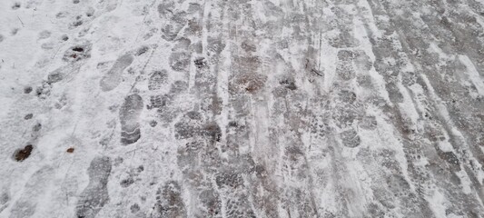 Snow-covered walkway shows many footprints in a winter scene near a forest