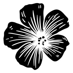 Flower petal silhouette detailed © Vexels