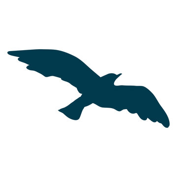 See gull wing silhouette