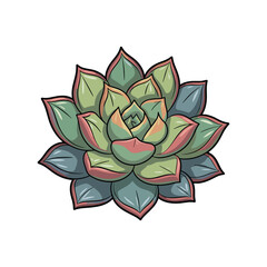 Illustration of a succulent plant with detailed leaves and subtle color variations.