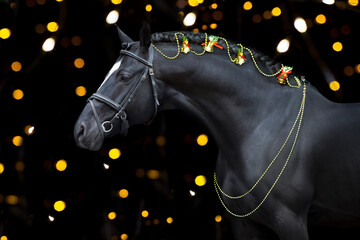Black horse in christmas decoration
