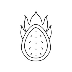 Outline drawing of a sliced dragon fruit plant on transparent background silhouette