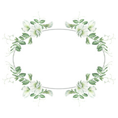 Obraz premium Oval frame with sprouts, sprigs, leaves and flowers of garden peas. Watercolor illustration hand drawn and isolated on a white background. Ideal for postcards, invitations, posters, tableware.