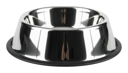 Feeding action dog bowl home product clean environment isolated on transparent background