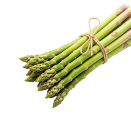 Harvesting fresh asparagus bundles farm food isolated on transparent background