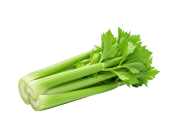 Vibrant, freshly harvested green celery stalks with lush leaves, crisp texture, and emerald color, isolated on a seamless transparent background with copy space, embodying healthy eating