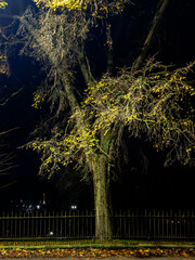 Edinburgh, Scotland, United Kingdom