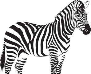 Stylized zebra silhouette vector art